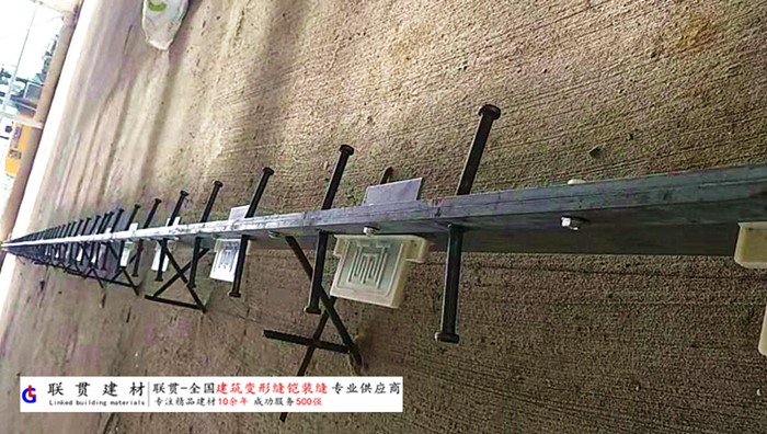 三亚市铠甲缝施工案例